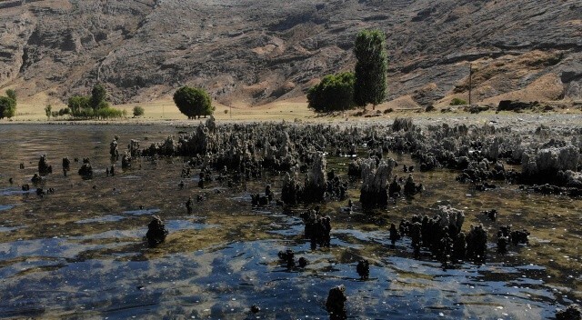 Bölge halkı endişeli! Van Gölü&#039;nde binlerce yıllık mikrobiyalitler ortaya çıktı