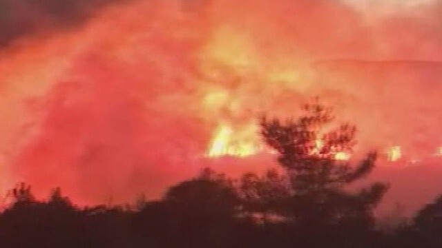 İzmir&#039;de ormanlık alanda yangın çıktı