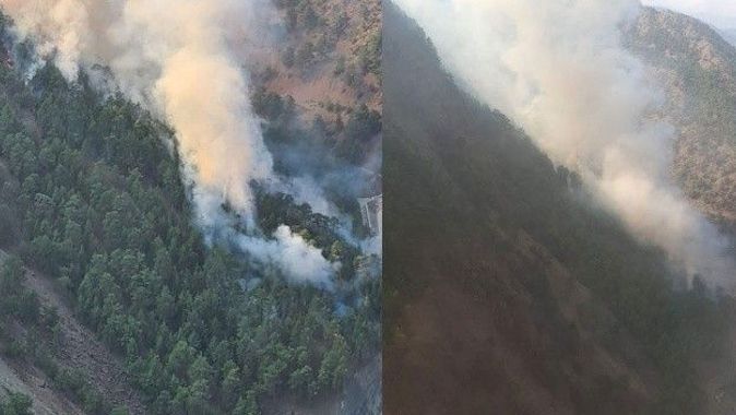 Adana&#039;da orman yangını