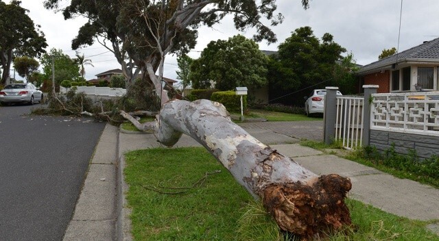 Avustralya’da şiddetli rüzgar nedeniyle binlerce ev elektriksiz kaldı