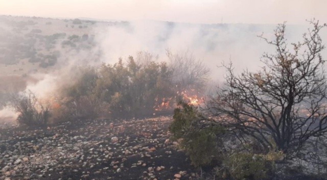 Gaziantep&#039;te orman yangını! 5 saat sonra kontrol altına alındı
