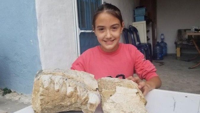 Manisa&#039;da 10 yaşındaki kız milyonlarca yıllık fosil bulmuş olabilir