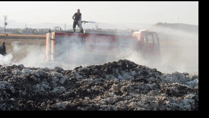 Tarla yangınında 90 ton pamuk yandı