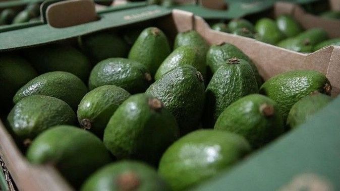 Tropikal meyve ihracatı yüzde 172 arttı