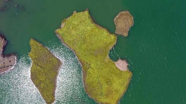 Çat Baraj Göleti üzerinde bulunan yüzen adaların atmosferi koruduğu ortaya çıktı
