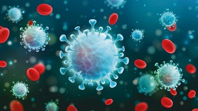 24 Aralık koronavirüs tablosu geldi, vaka 18 bin 910