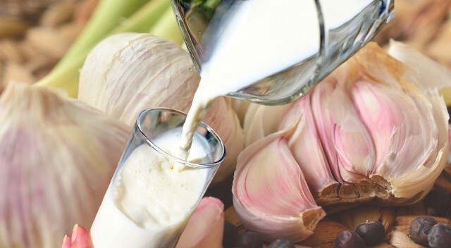Adeta doğal antibiyotik: Sarımsaklı süt birçok hastalığa şifa oluyor