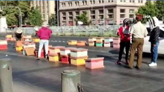Böyle protesto  görülmedi: 7 polis arı mağduru... Kovanını alan eyleme geldi