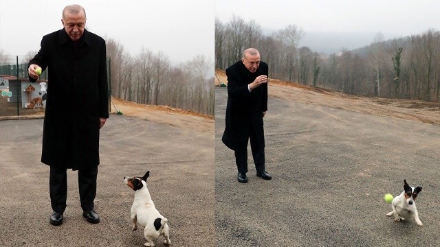 Cumhurbaşkanı Erdoğan, Beykoz&#039;da hayvan barınağını gezdi