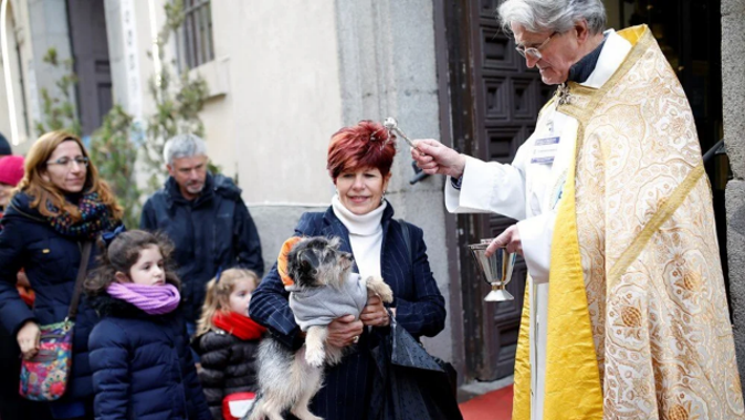 İspanya&#039;da evcil hayvanlar kutsandı