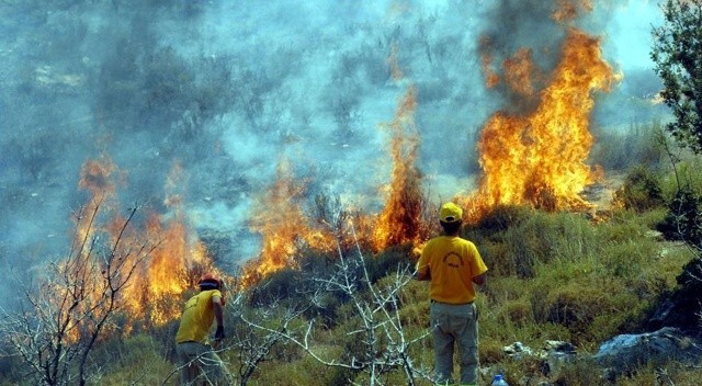 Tarım ve Orman Bakanlığı duyurdu: Yangınla mücadelede yeni adım
