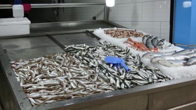 Karadeniz’de balık azaldı, fiyatlar arttı