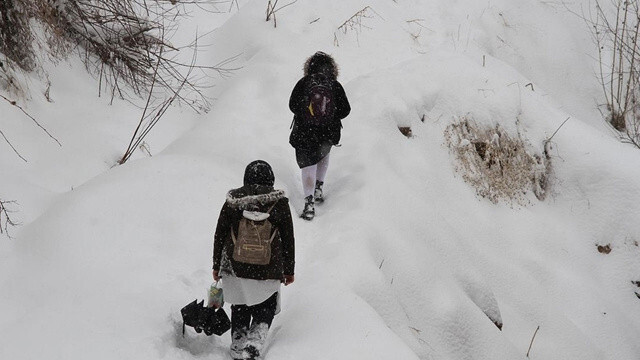 Lapa lapa kar yağdı: Okullar tatil edildi