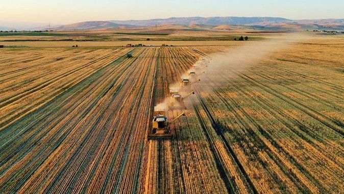 Bakanı Kirişçi duyurdu: 890 milyonluk tarım desteği ödemeleri başladı