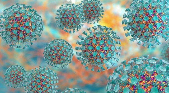 DSÖ’den hepatit açıklaması: Aşıyla bağlantısı yok