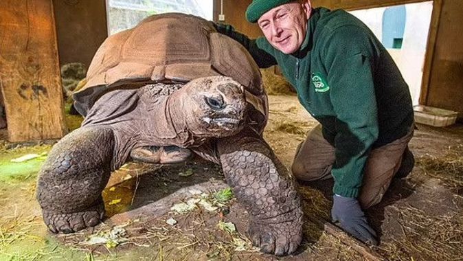 Hayvanat bahçesinin sembolü meşhur kaplumbağa 105 yaşında öldü