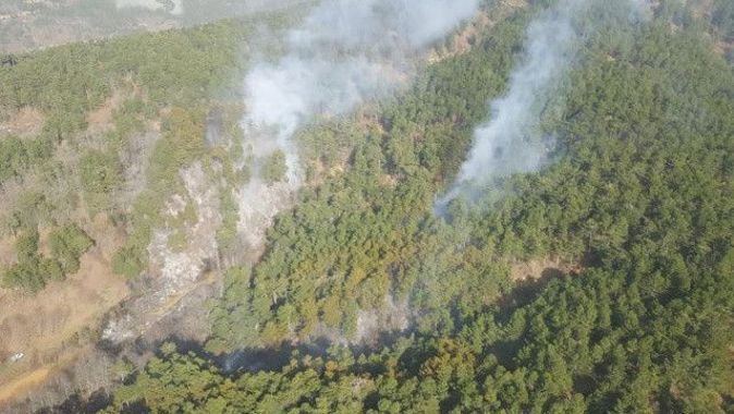 İzmir&#039;deki orman yangını kontrol altına alındı