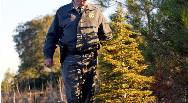 Orman Genel Müdürlüğü 5 bin personel alımı yapacak