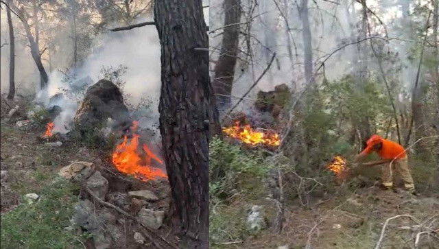Alanya’da orman yangını: 5 dönüm alan zarar gördü