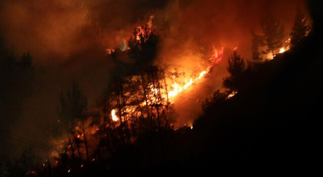 Alanya&#039;daki orman yangınları büyük hasar bıraktı: 3 dekar alan zarar gördü
