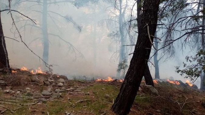 İzmir’deki orman yangınlarında 12 hektarlık alan zarar gördü
