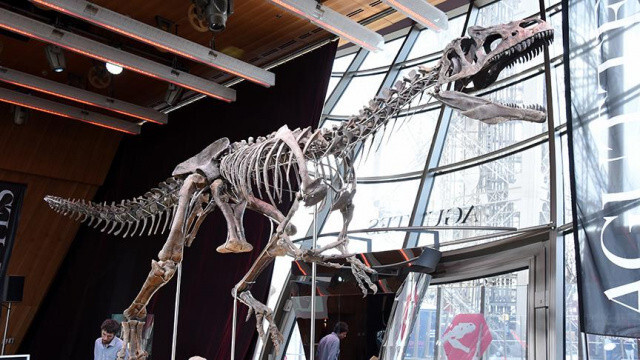 Jurassic Park filmine ilham veren dinozor iskeleti, rekor fiyata satıldı
