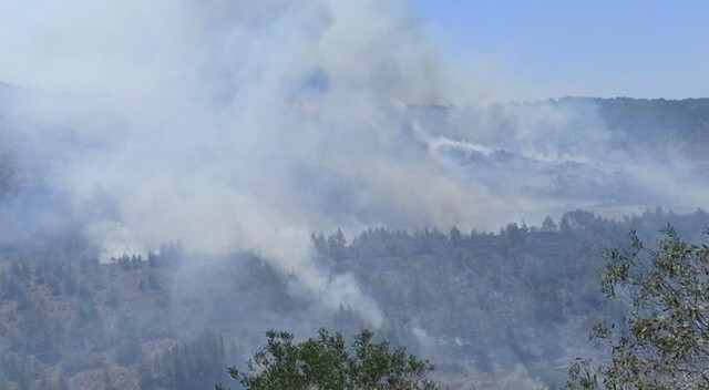 KKTC&#039;de orman yangını