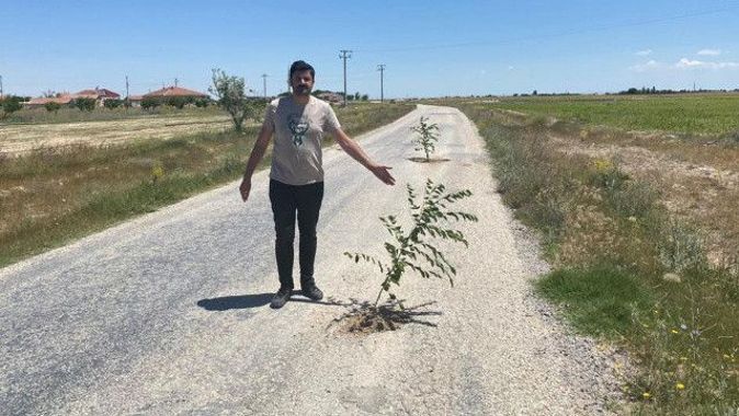 Bozuk yollara ilginç tepki: Yoldaki çatlaklara ağaç diktiler