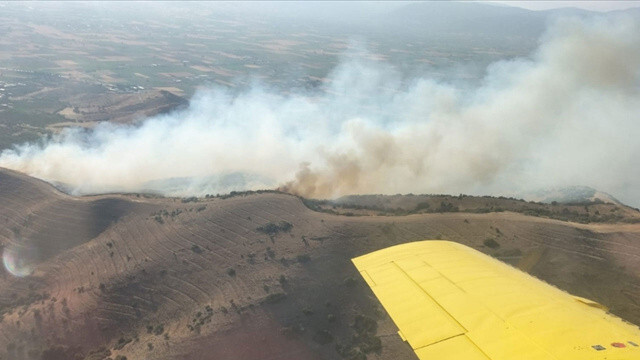 İzmir&#039;de orman yangını: Havadan ve karadan müdahale başladı!