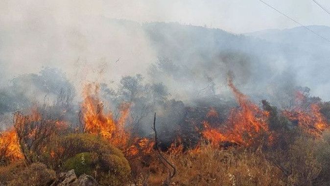 Muğla&#039;da orman yangını
