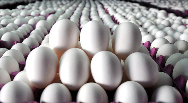 Yumurta sektörüne Rekabet Kurumu&#039;ndan 2 ayrı soruşturma
