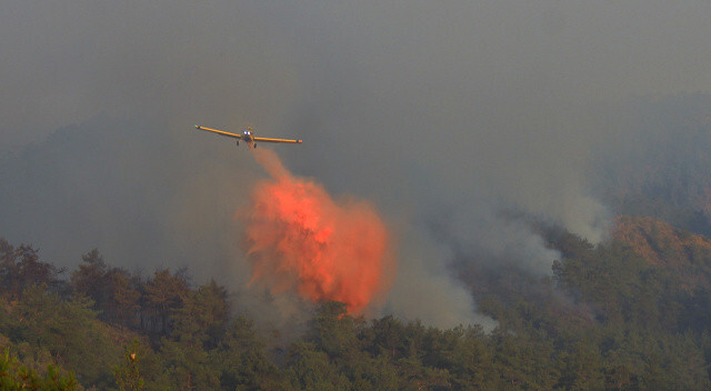 Yüzde 100 milli: Orman yangınlarını söndüren köpük artık yerli üretim