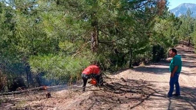 Adana&#039;da orman yangını: Yayılmasını önlemek için ağaçlar kesiliyor