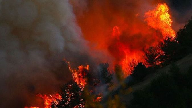 Bursa Valiliğinden son dakika uyarısı: Orman yangınlarına dikkat