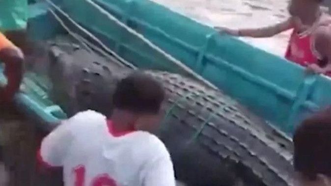 Endonezya&#039;da dehteşe düşüren olay! Kayıp inşaat işçisi 13 metrelik dev timsahın içinden çıkarıldı