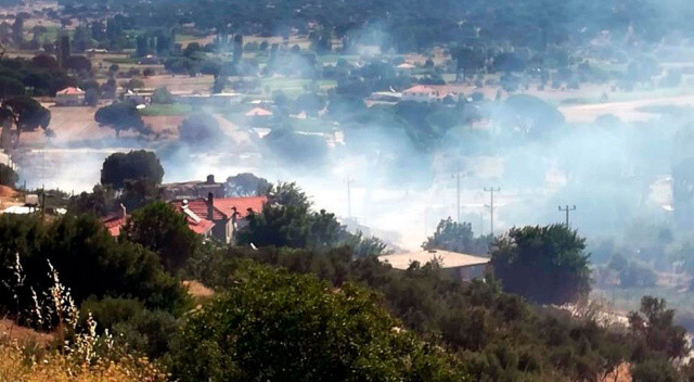 Milas&#039;ta orman yangını: 2 saat sonra kontrol altına alındı