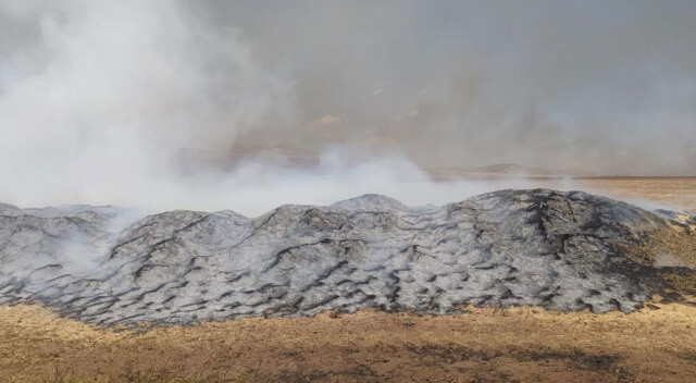 Siirt’te yangın: 100 ton buğday küle döndü