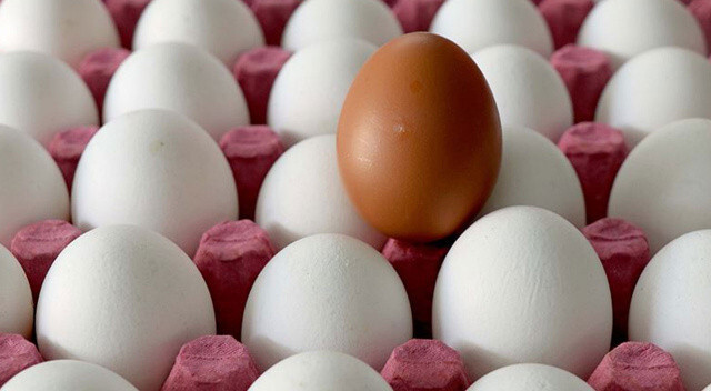 Tanesi 2 liraya dayandı! Asgari ücrette artışında ardından yumurta fiyatlarına yüzde 40 zam