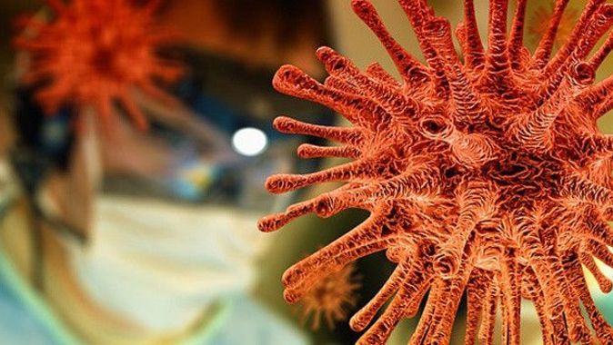 Türkiye’de de görülmüştü… Bilim insanları uyardı: Maymun çiçeği virüsü en az 50 kez mutasyona uğradı