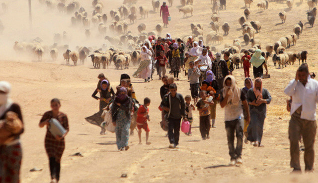 DEAŞ’tan kaçan 325 bin Ezidi, evine dönemiyor