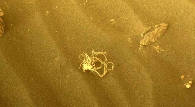 NASA Mars’ta keşfedilen yosunun gizemini çözdü