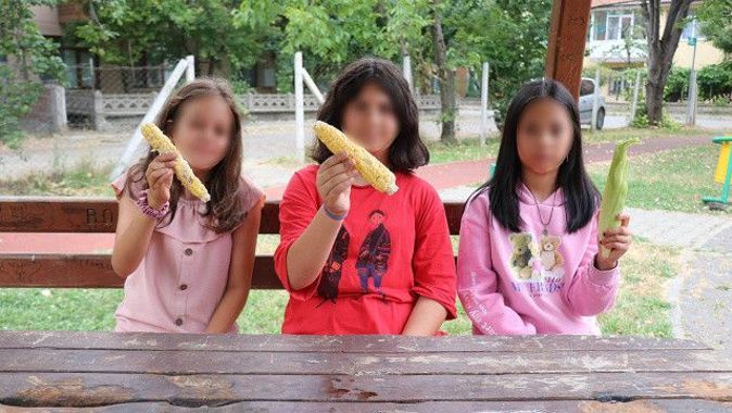 Villa sahibi, bahçesinden mısır alan 3 kızı yumrukladı