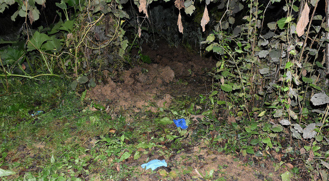Ordu&#039;daki vahşette kan donduran detay: Ölen bebeği tarlaya gömmeden önce 23 gün çatıda saklamış