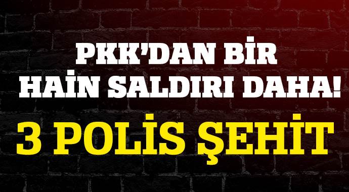 Mardin&#039;de hain saldırı: 3 polis şehit