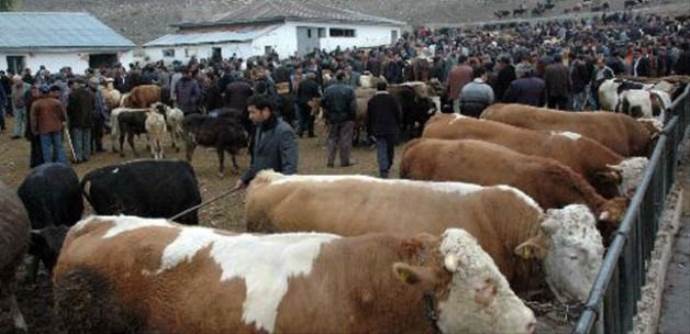 Kurbanlık fiyatları arttı