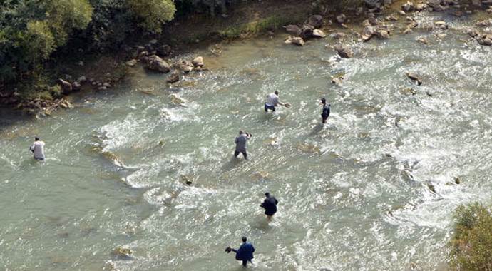 Kurbanlık yolunda kaza: 4 ölü Kurbanlık yolunda kaza: 4 ölü
