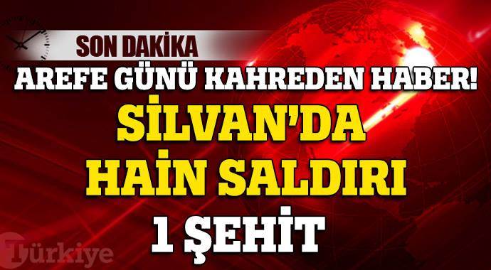Silvan&#039;dan Arefe günü acı haber, 1 şehit!