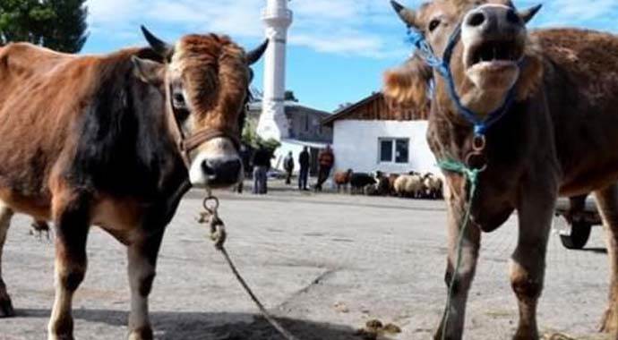 Erdoğan&#039;ın kurbanı o ülkede kesildi
