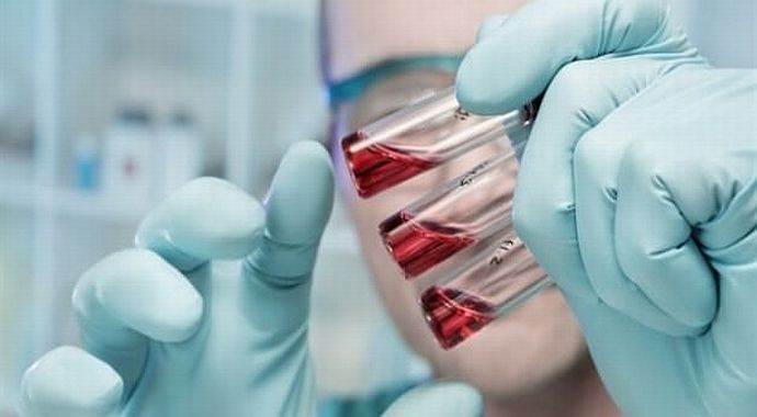 Muğla'da KKKA virüsüne rastlandı Muğla'da KKKA virüsüne rastlandı