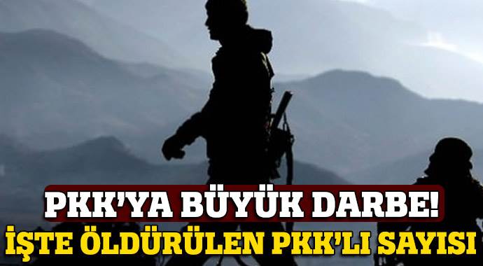 İşte öldürülen PKK'lı sayısı! İşte öldürülen PKK'lı sayısı!